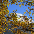 KW+46+-+Herbstlicher+Blick+vom+Eichig+zur+Mittagspitze-+Tobadill+(Karl+Poberschnigg)