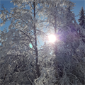 Dezember+-+einzigartige%2c+tief+winterliche+Landschaft+(Christian+Scherl)+(2)