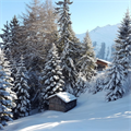 Dezember+-+einzigartige%2c+tief+winterliche+Landschaft+(Christian+Scherl)+(3)