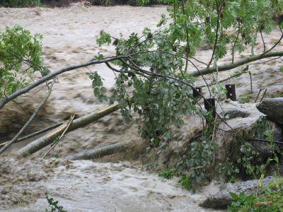 Bilder Hochwasser 2005